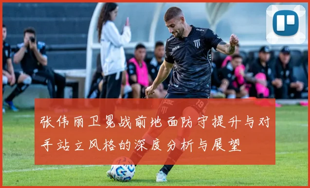 张伟丽卫冕战前地面防守提升与对手站立风格的深度分析与展望