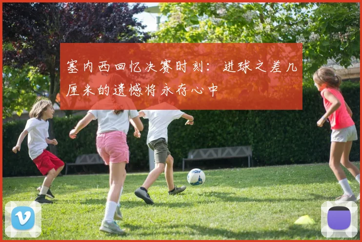 塞内西回忆决赛时刻：进球之差几厘米的遗憾将永存心中